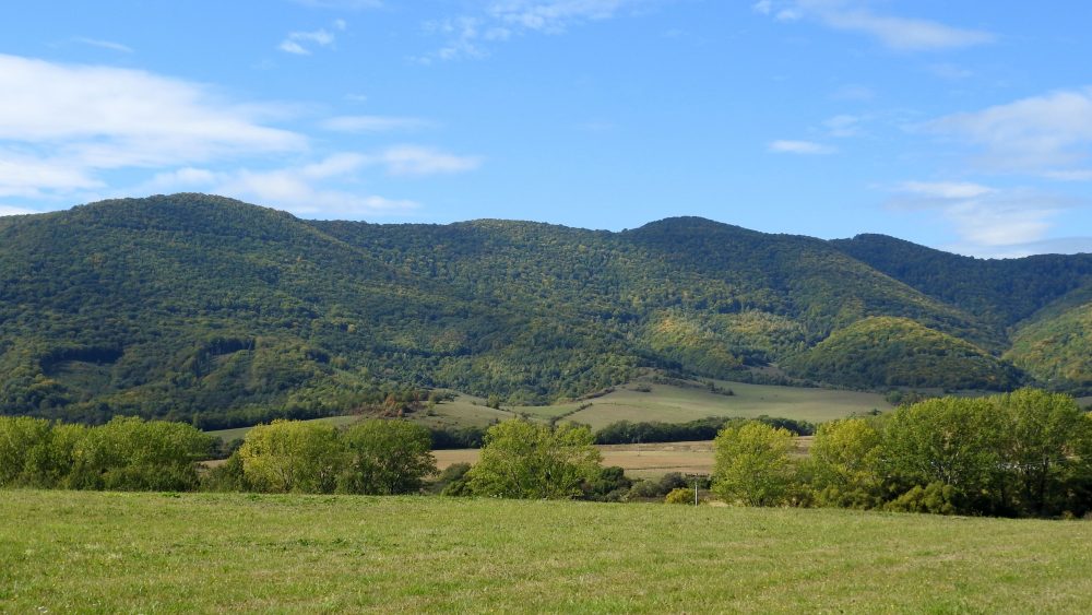 Plešivská planina