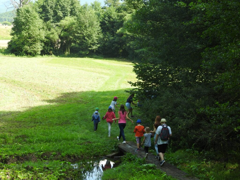 DSCN2347 e1566282899613 1