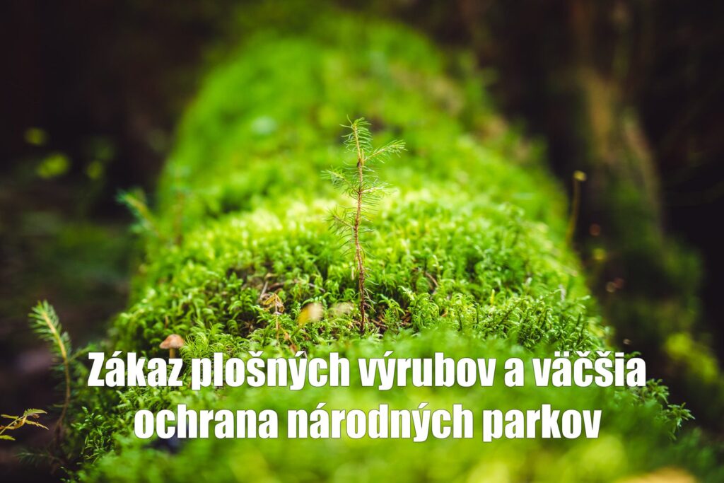 zakonfoto 1