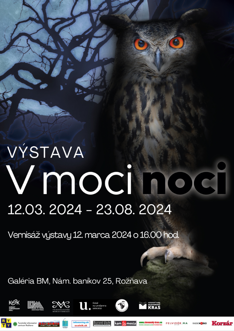 Výstava “V moci noci”