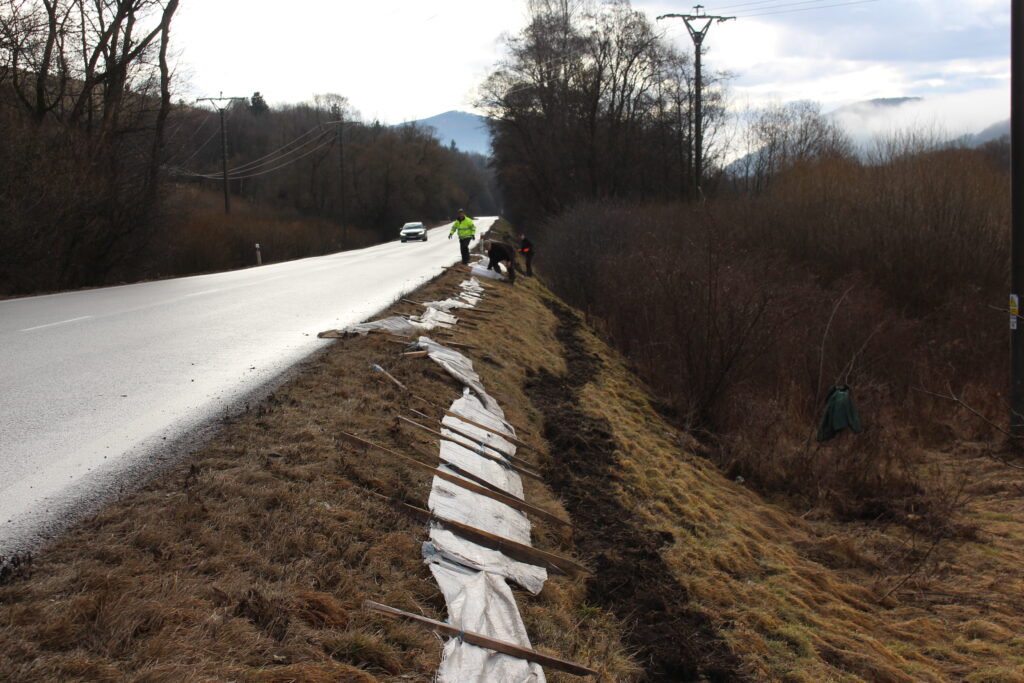 Začali sme s výstavbou dočasných ochranných zábran pre obojživelníky