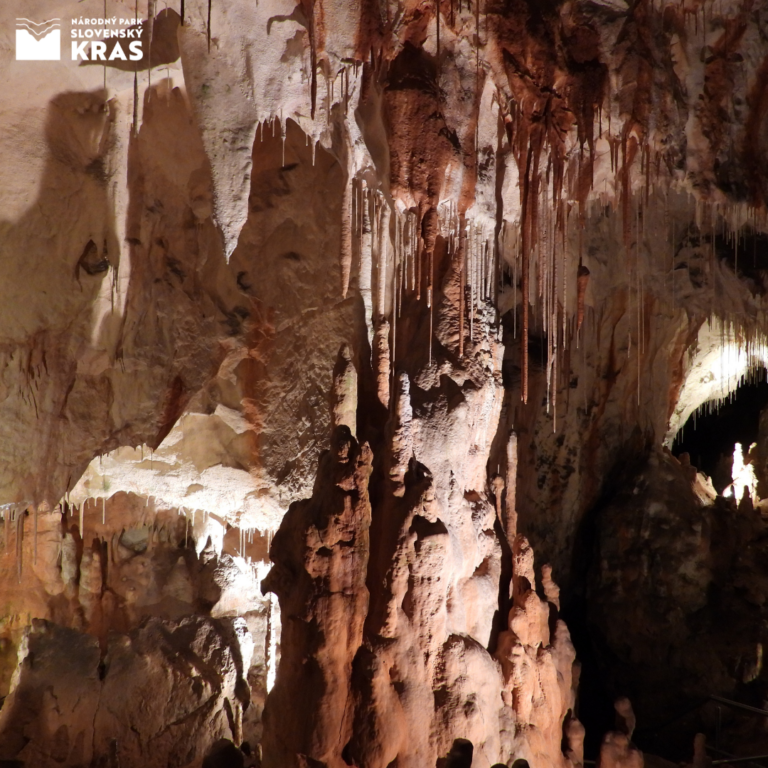 Gombasecká jaskyňa - sintrové brká